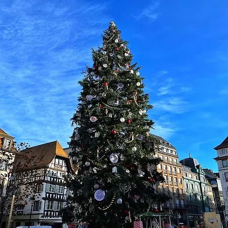 Apartment Petit Loft Du Faubourg National Strasbourg