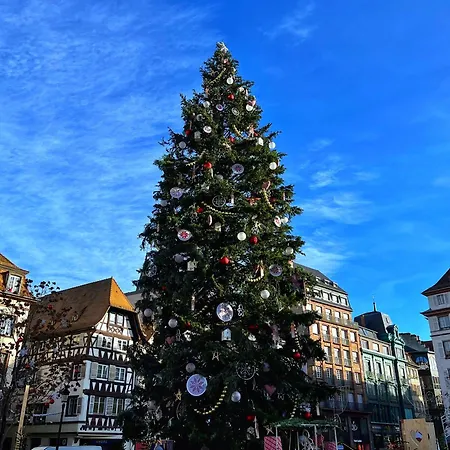 Loft Proche Petite France שטרסבורג