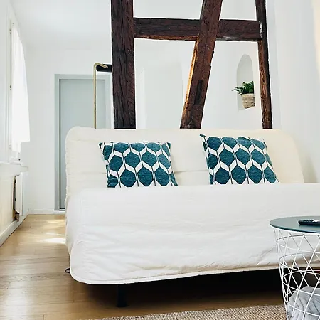 Petit Loft Du Faubourg National * ستراسبورغ