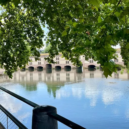 Loft Strasbourg Proche Petite France Lägenhet *