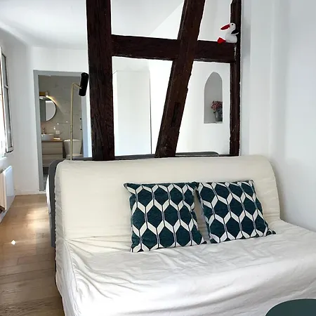 Loft Proche Petite France שטרסבורג
