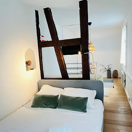 Loft Proche Petite France * Strasburgo