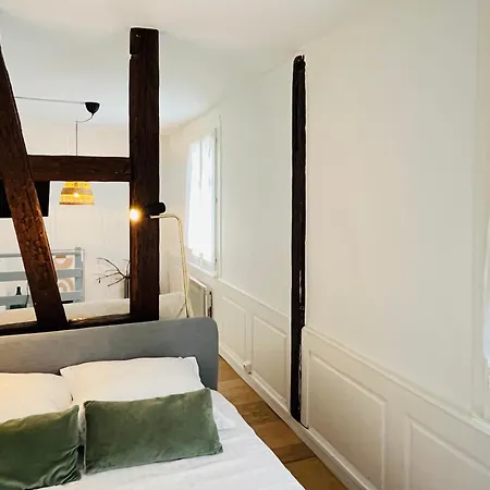 Loft Proche Petite France Apartment