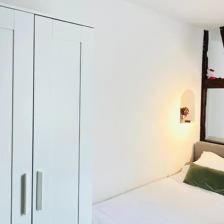Apartment Loft Proche Petite France Strasbourg