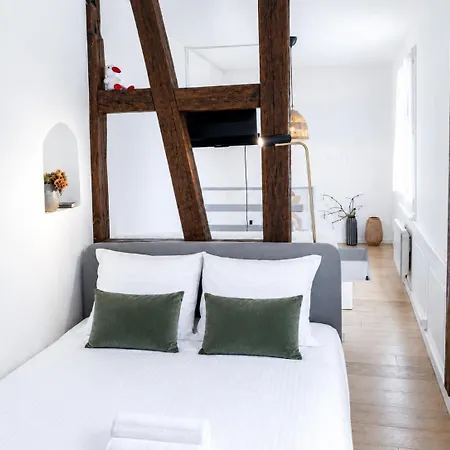 Apartment Loft Proche Petite France *
