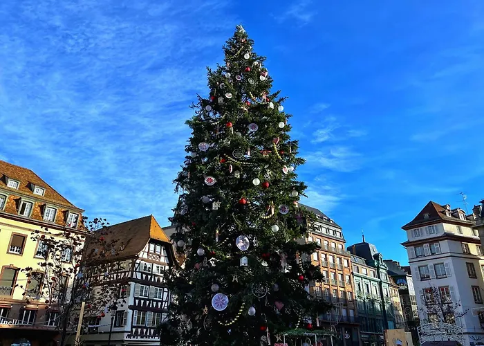 Loft Proche Petite France Straßburg