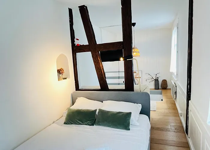 Loft Proche Petite France * Straßburg