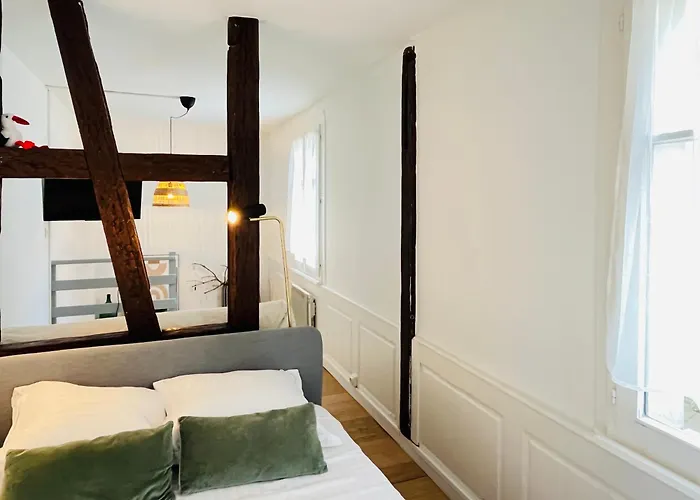 Loft Proche Petite France Apartment